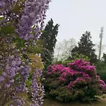 Foresterie Magnolia Belgirate