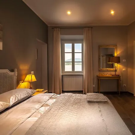 Foresterie Magnolia *