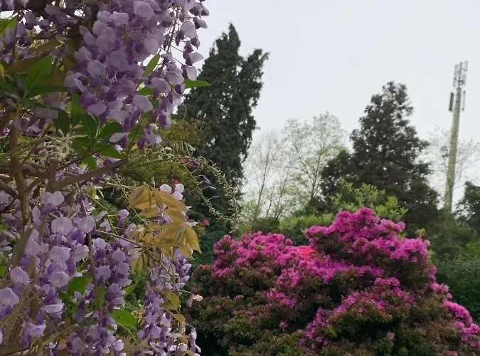 Foresterie Magnolia Belgirate