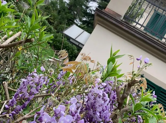 Lejlighed Foresterie Magnolia *