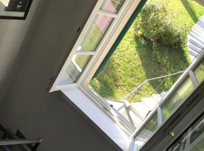 Foresterie Magnolia *